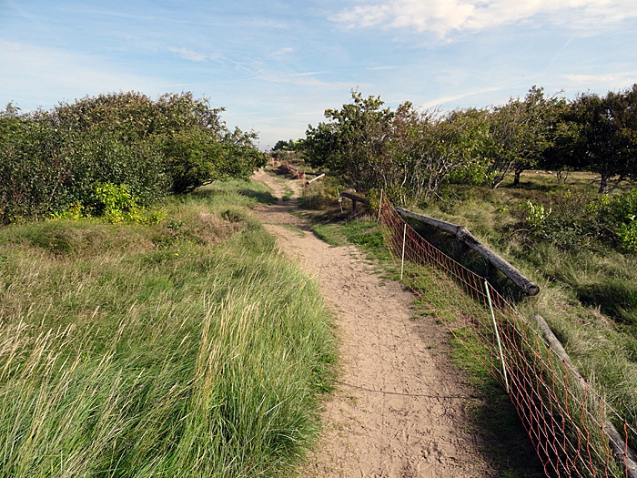 huetezaun heide bild 01