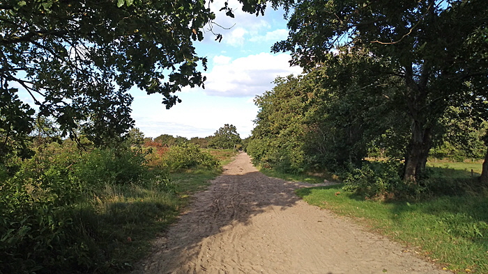 scharmoorweg bild 01