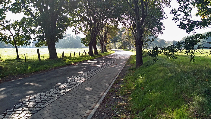 fahrradstrasse karl-waller-weg bild 02