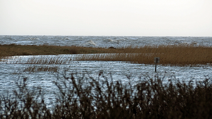 sahlenburg sturm bild 04