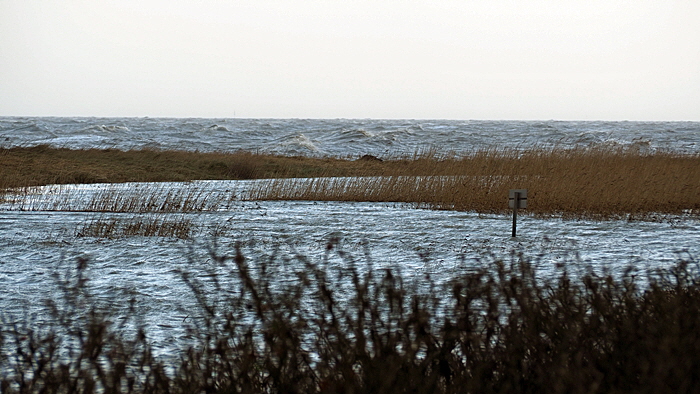 sahlenburg sturm bild 04