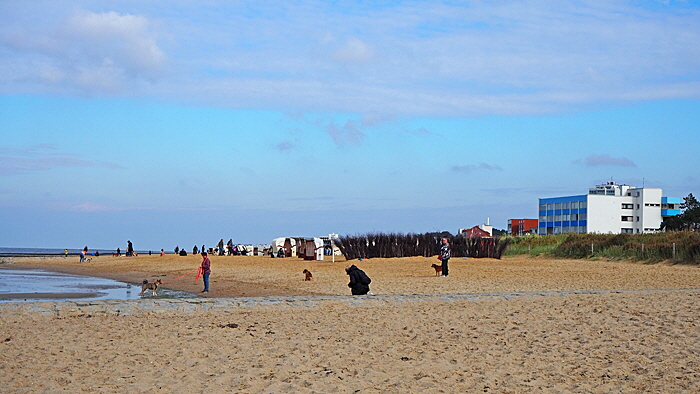 hundestrand sahlenburg bild 003