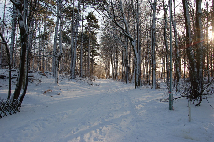 sahlenburg im winter bild 14