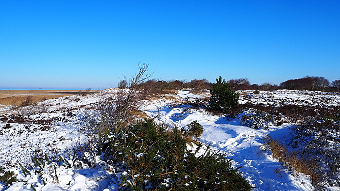 sahlenburg im winter bild 16