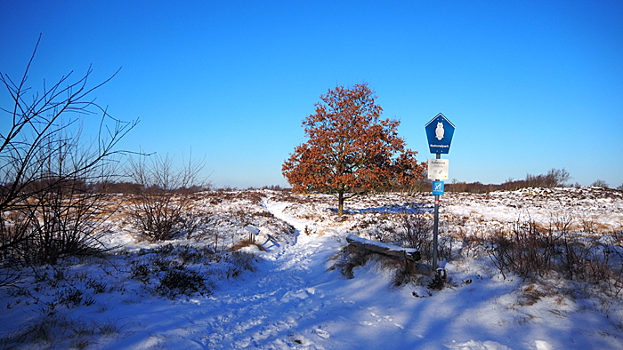 sahlenburg im winter bild 17