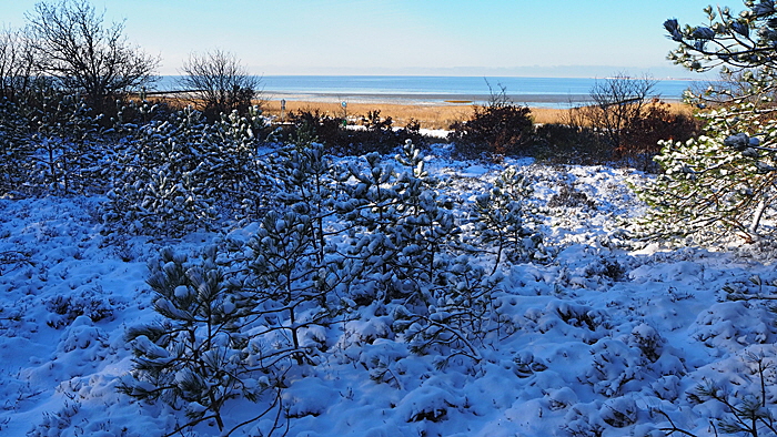 sahlenburg im winter bild 19