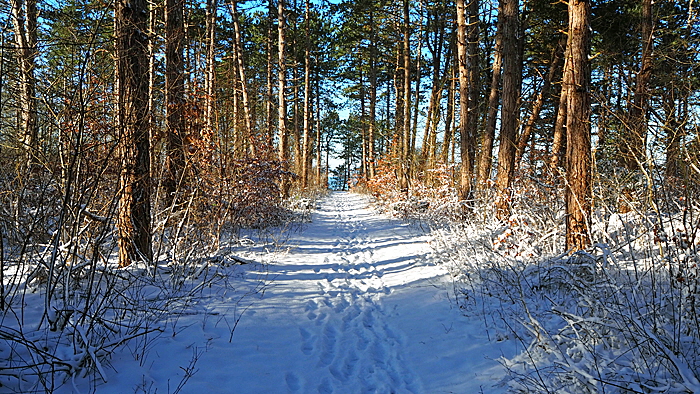 sahlenburg im winter bild 20