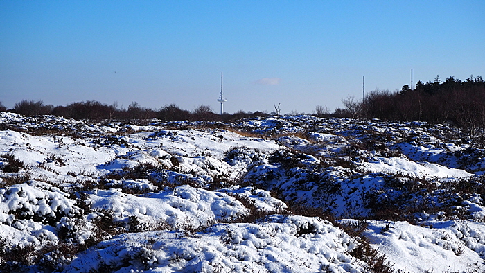 sahlenburg im winter bild 22