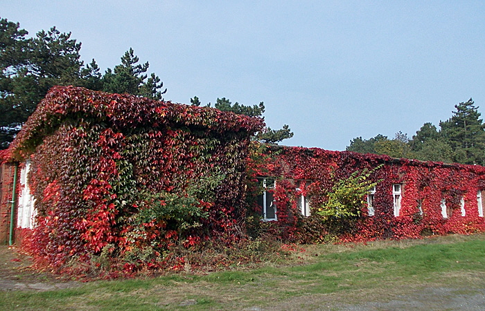 nordheimstiftung bild 02