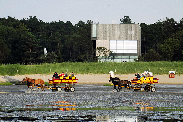 wattenmeer besucherzentrum bild 04