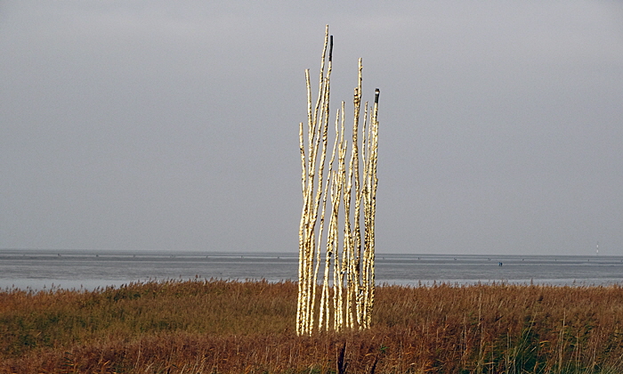 wattenmeer besucherzentrum bild 07