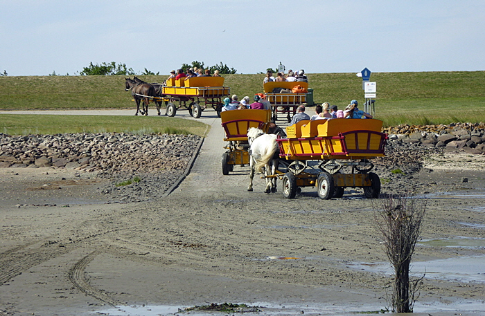 wattwagen tour neuwerk bild 07