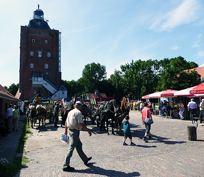 wattwagen tour neuwerk bild 08