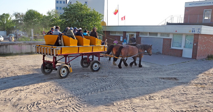 wattwagen rueckkehr