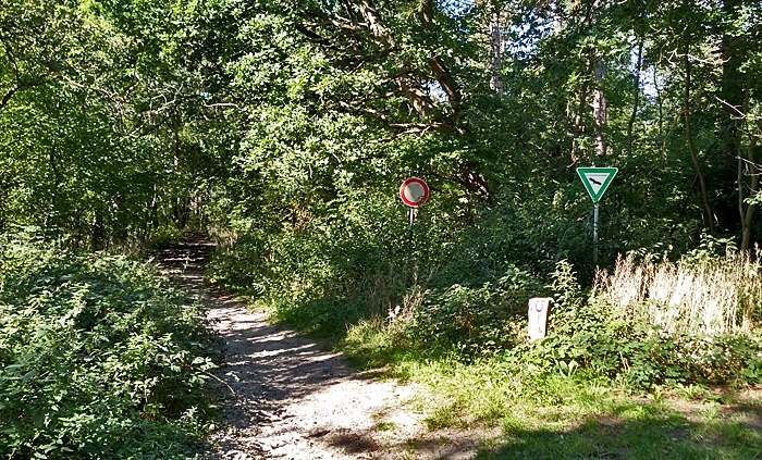 wernerwald reitweg bild 08