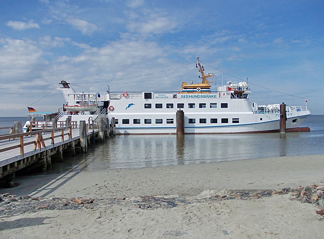 ms flipper neuwerk 01