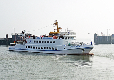 ms flipper bild 03