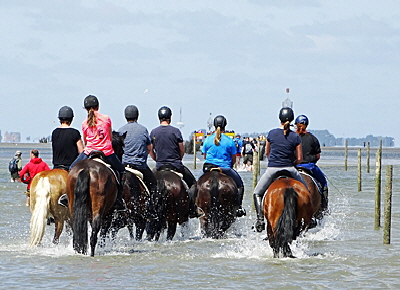 reiten nach neuwerk bild 01