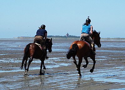 reiten nach neuwerk bild 02