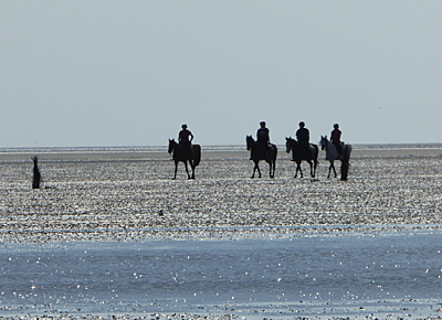 reiten nach neuwerk bild 03