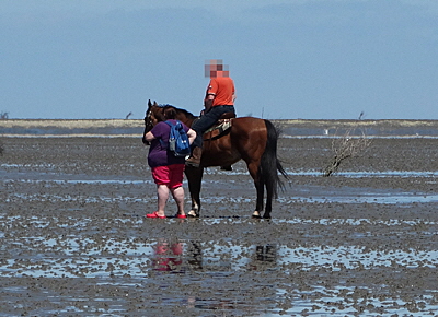 reiten nach neuwerk bild 04